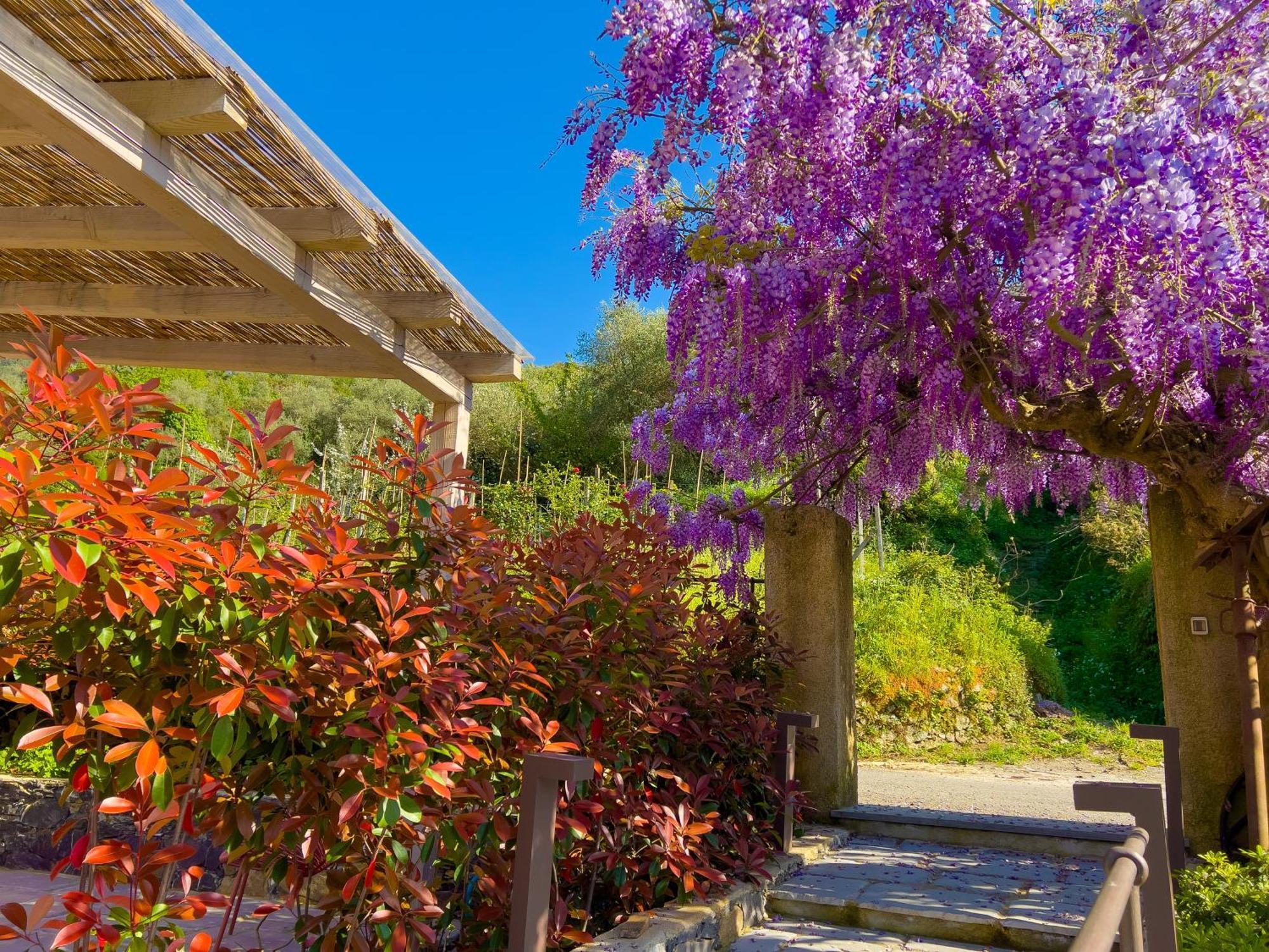 Ferienwohnung La Casa Dei Glicini Levanto Exterior foto